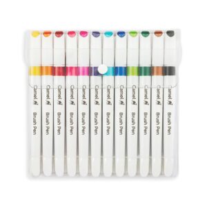 Camlin Brush Pen 12 Shades, Bold - Assorted